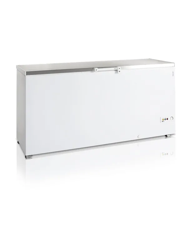 Pas Cher Congélateur de crème glacée - 557 L | Tefcold - FR605SSL
