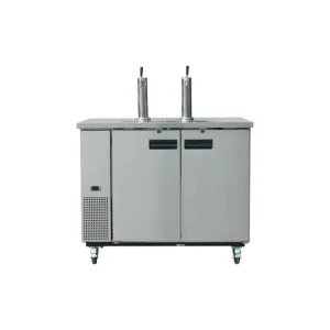 Dernier Modèle Distributeur de bière en fût à tirage direct série G double | Polar - GE633