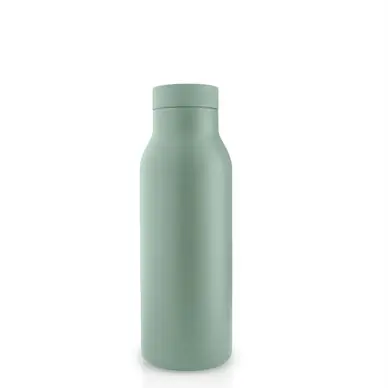 Achetez Aujourd’hui Bouteille Eva Solo RVS Groen 0,5L